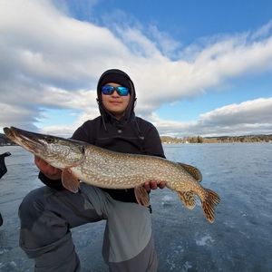 Meet your Posher, Jason